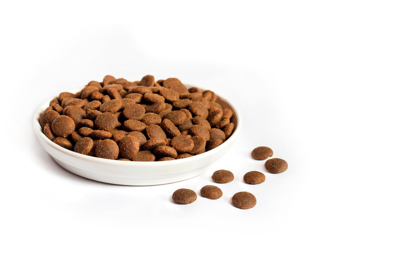 grain-free-cat-food Grain-free dry cat food in a white ceramic bowl