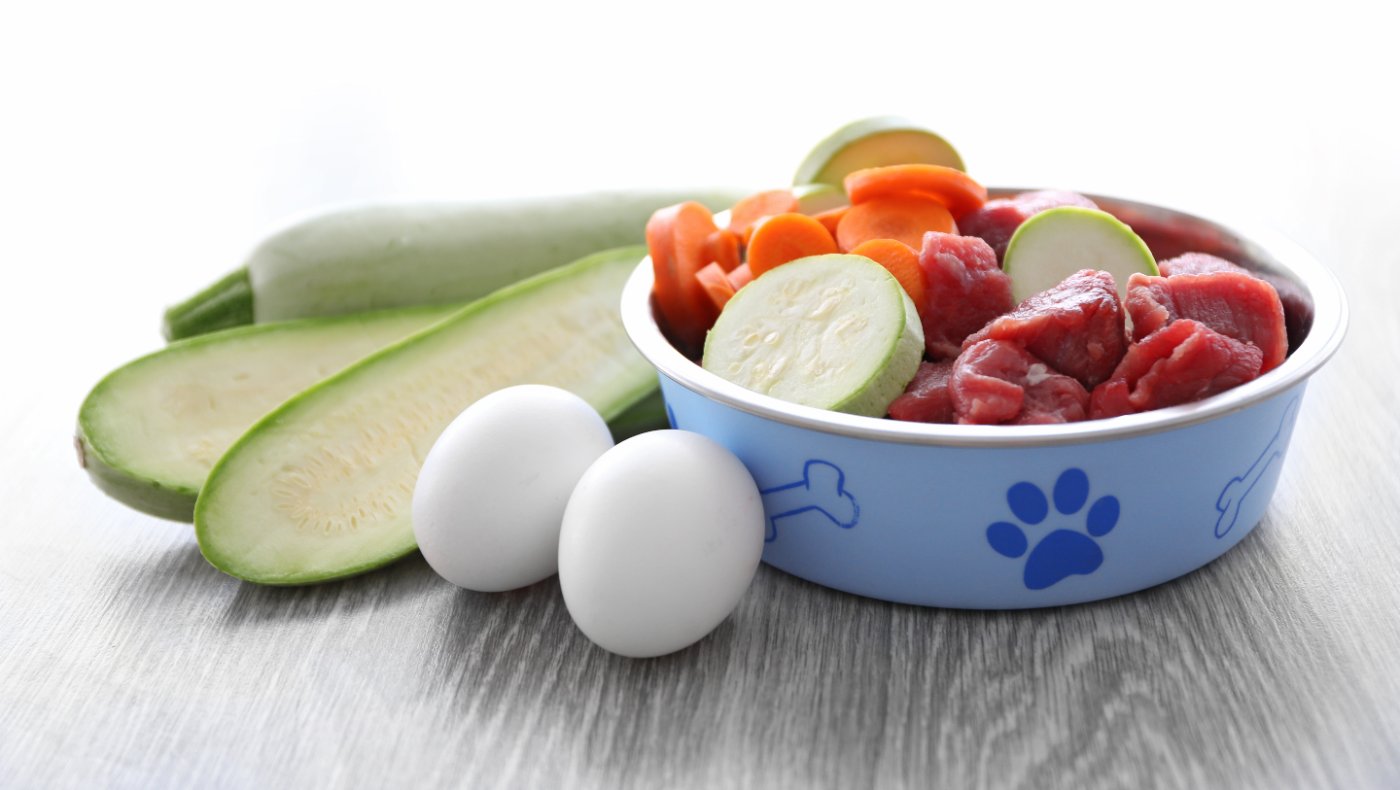 Organic grain-free pet food in a bowl on a wooden floor