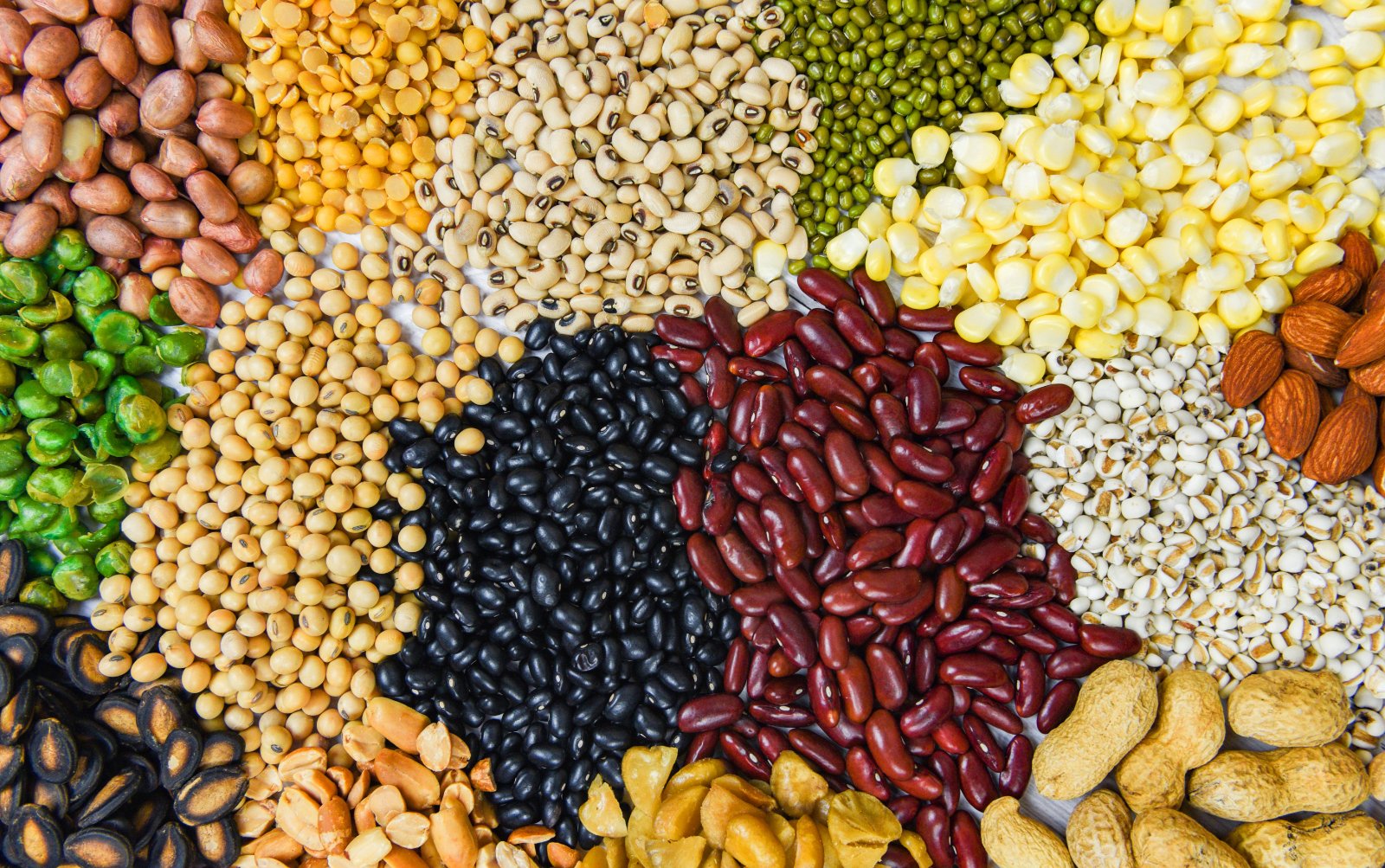 Assorted grains, beans and legumes